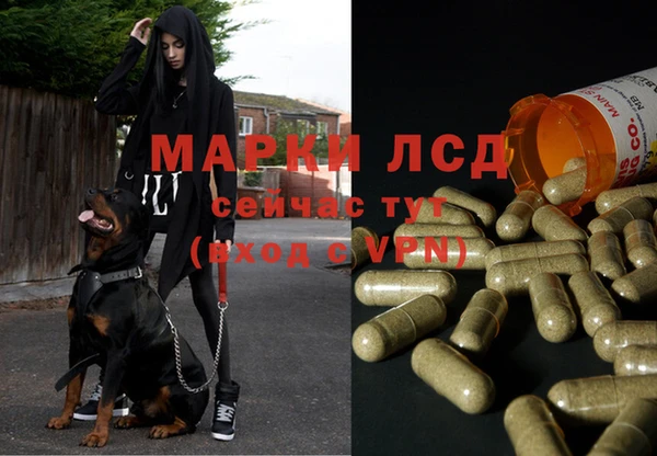 марки nbome Ладушкин