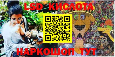 шишки Камышлов