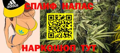 шишки Камышлов