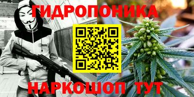 круглые Берёзовский