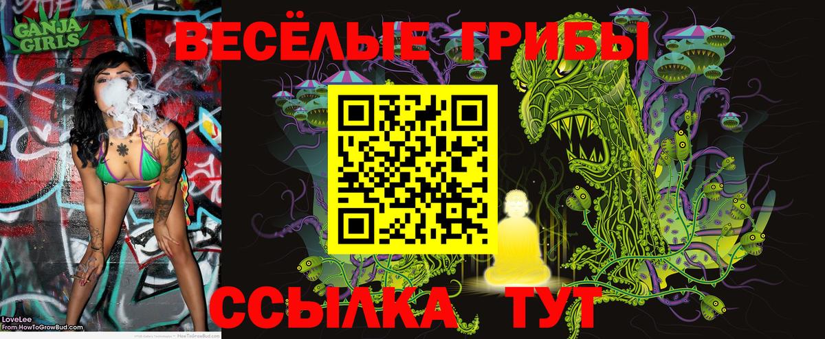 Галлюциногенные грибы мицелий  Сосновоборск 