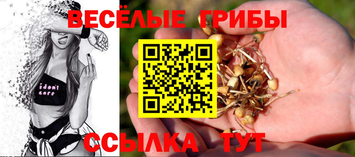 Псилоцибиновые грибы Cubensis Сосновоборск